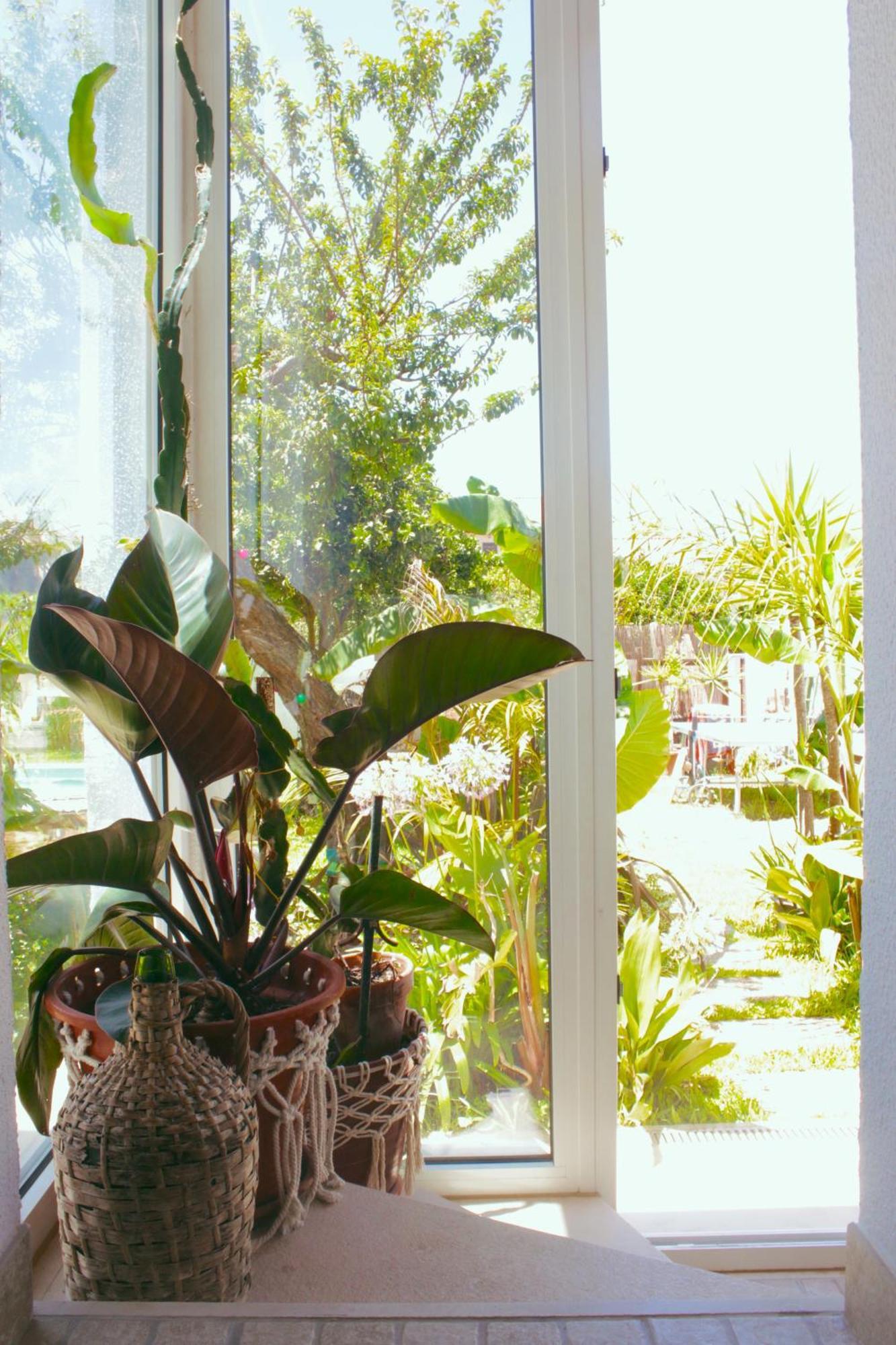 Vila Vale Guest House - Surf & Yoga シャルネカ エクステリア 写真